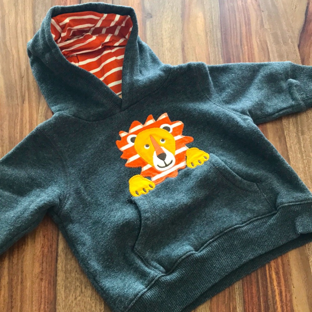 Lion Hoodie Size 6-13 Months